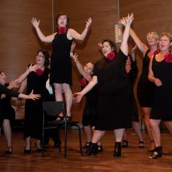 musical voor volwassenen