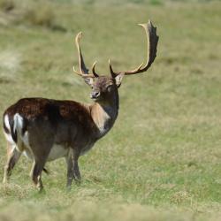 fotografie | Natuurfotografie