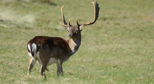 fotografie | Natuurfotografie