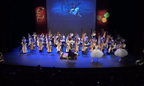 Regionaal harpweekend ‘From Russia with Love’