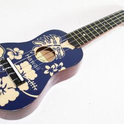 ukelele vanaf 21 jaar