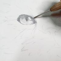 Tekenen met zilverstift | praktische workshop