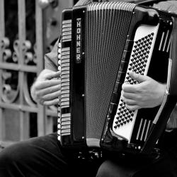 accordeon vanaf 21 jaar