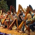 26e Regionaal Harpweekend – Een muzikaal spektakel!