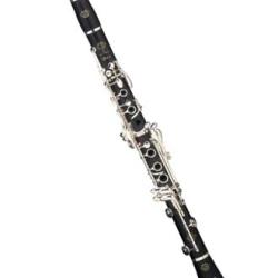 klarinet t/m 20 jaar
