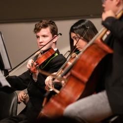 strijkersensemble gevorderden