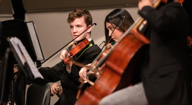 strijkersensemble gevorderden