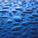 RICK ACTEERT - Blauw Bloed / Nieuw Bloed